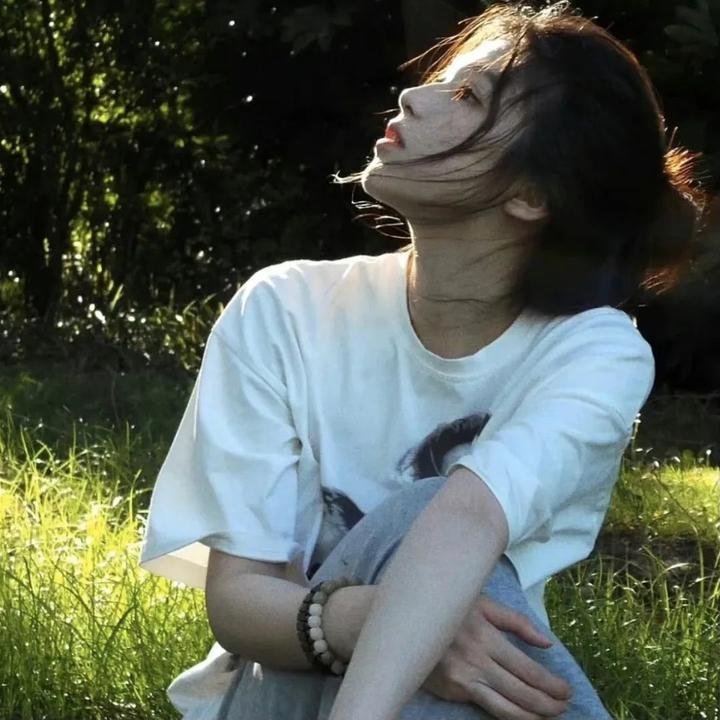 太阳不能动